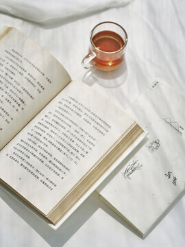 陽光下打開的書與茶