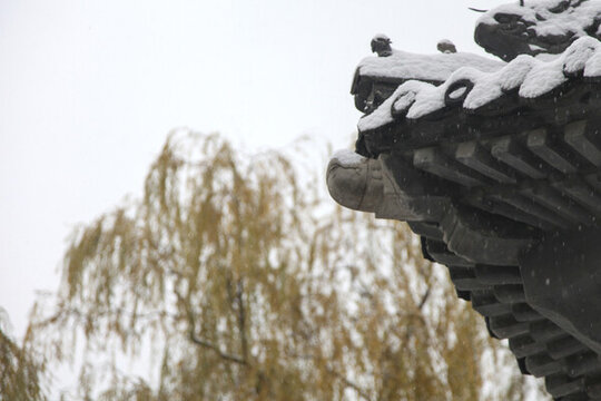 北京大學(xué)雪景圖