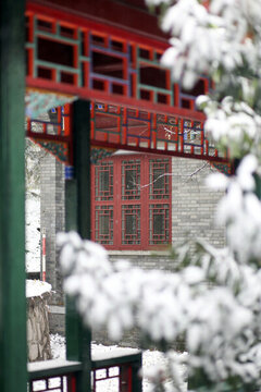 北京大學雪景圖