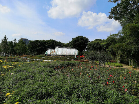生態(tài)公園