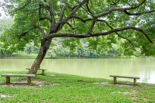 公園一角