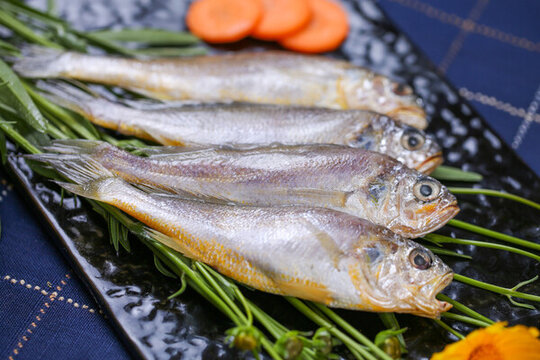 黃花魚