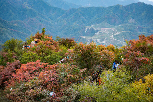 圭峰山山頂