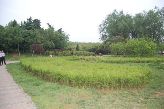 公園一角
