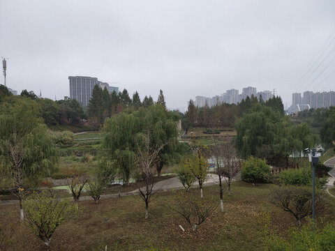 公園綠植