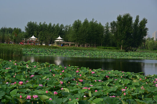 南溪濕地公園