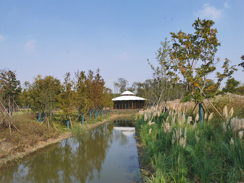 南上海中央公園