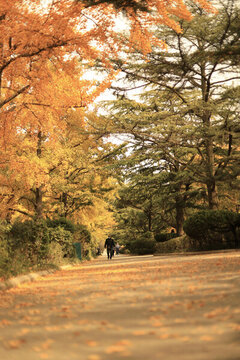 中山公園