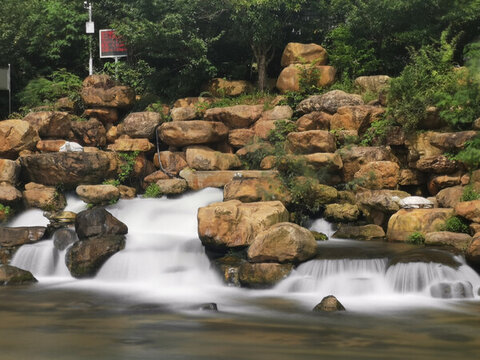 城市人工濕地公園
