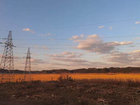 夕陽下的田野