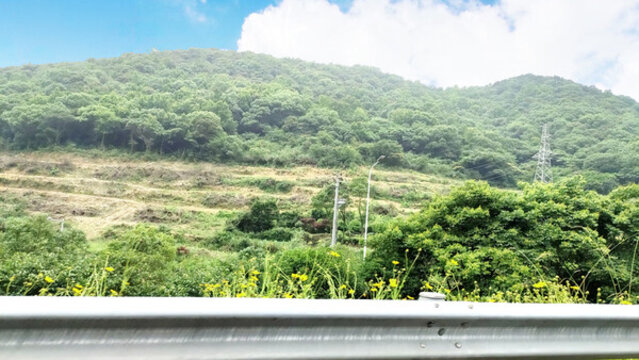 春曉風(fēng)景