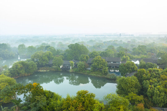 杭州市西溪濕地公園秋色晨霧