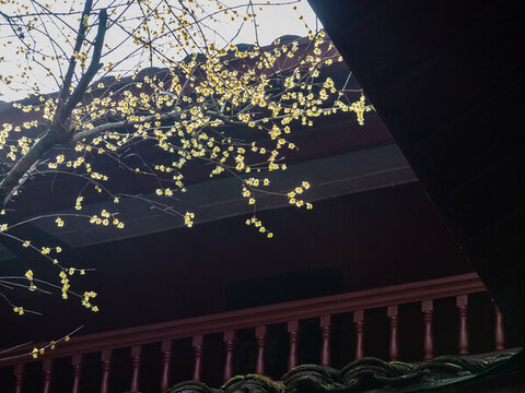 杭州法喜寺