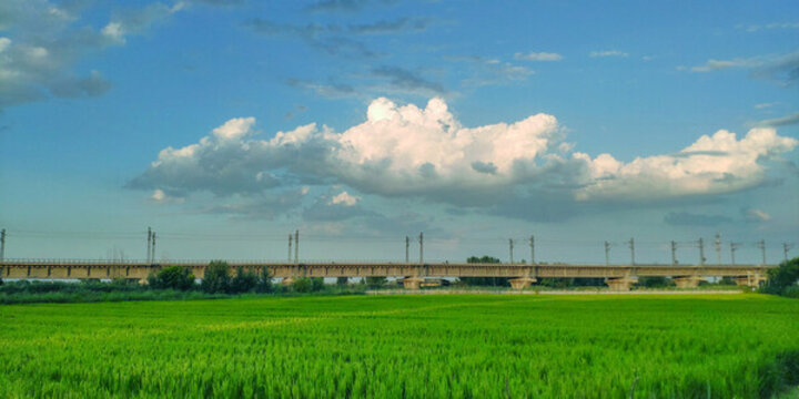 稻田藍天地