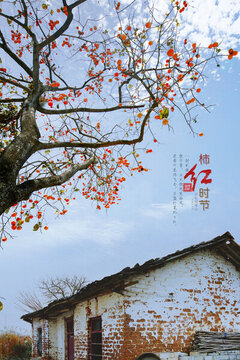 柿紅時節(jié)