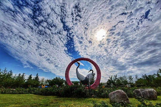 公園一角
