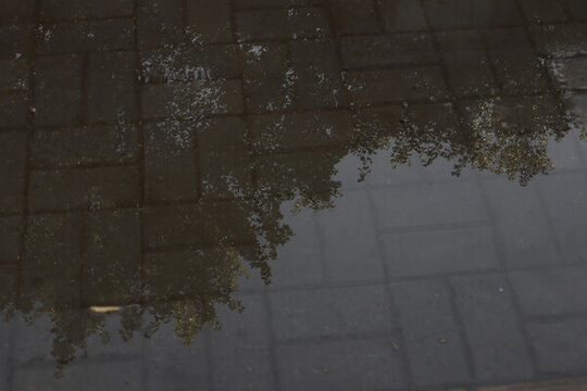 水