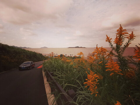 海島公路