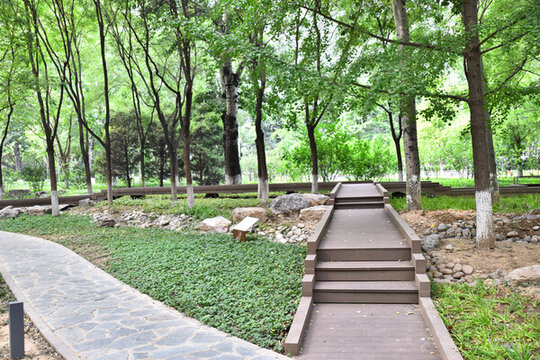 亮馬河公園