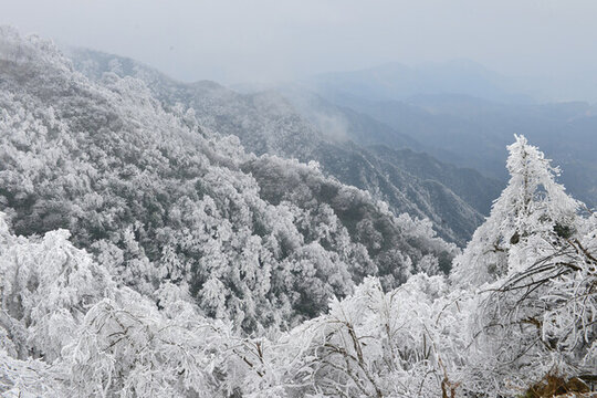 森林雪景