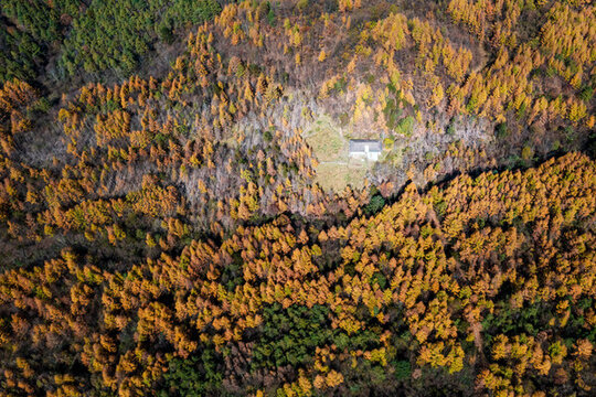 巴中光霧山