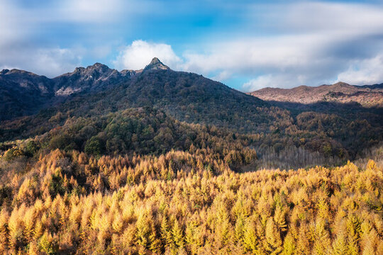 巴中光霧山