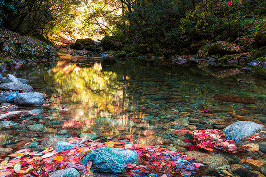 巴中光霧山紅葉