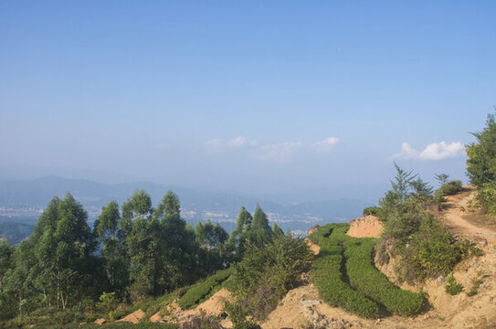 高山山坡風(fēng)景
