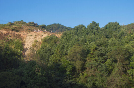 山村山林