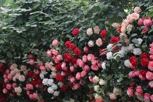 花墻