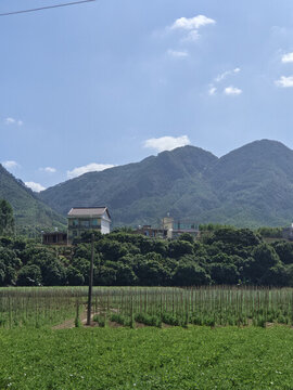 山里別墅