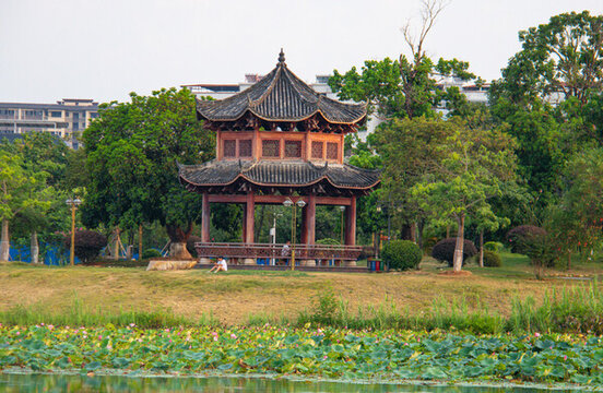 公園的愜意時光