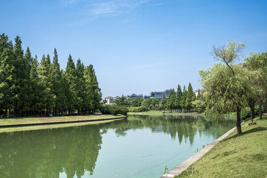 公園小河