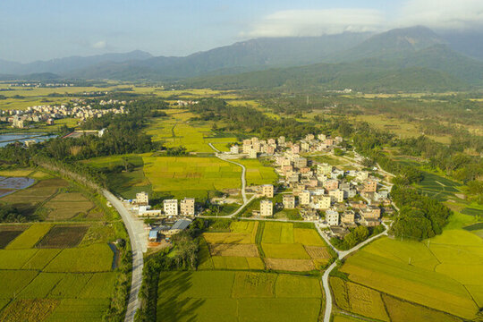 洋豪村