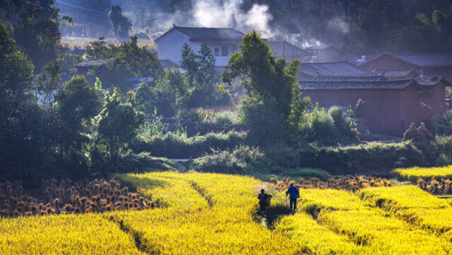 鄉(xiāng)村振興