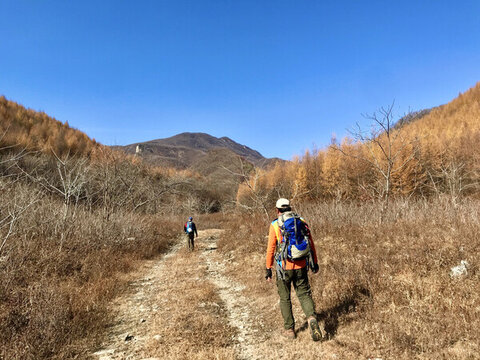 走向秋山