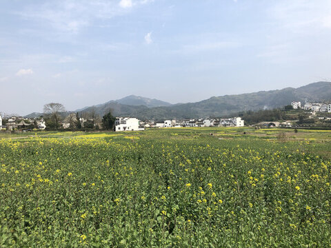徽派古鎮(zhèn)呈坎