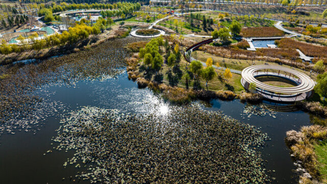 中國(guó)長(zhǎng)春南溪濕地公園秋季風(fēng)景