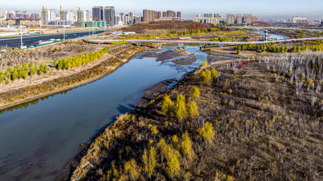 中國長春南溪濕地公園秋季風景