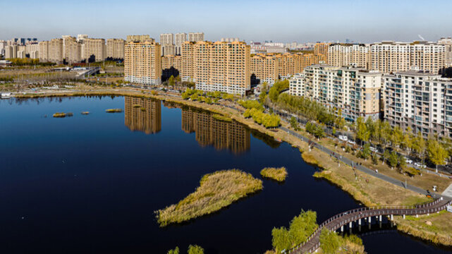 長(zhǎng)春南溪濕地公園秋季風(fēng)景