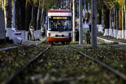 中國長春有軌電車與落葉景觀