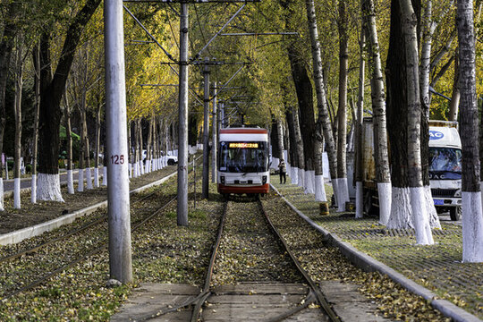 中國長春有軌電車與落葉景觀