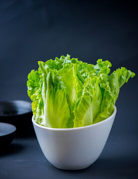 生菜