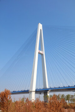 青山長(zhǎng)江大橋