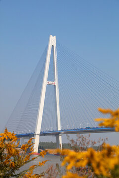 武漢青山長江大橋