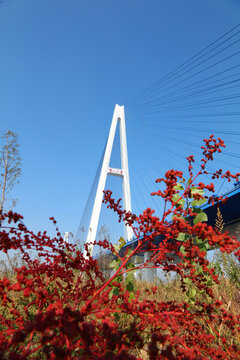武漢青山長(zhǎng)江大橋