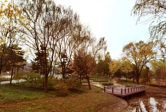 觀景臺公園