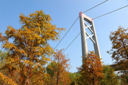武漢陽邏長江大橋