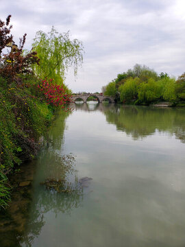 垂柳岸邊遙望拱橋