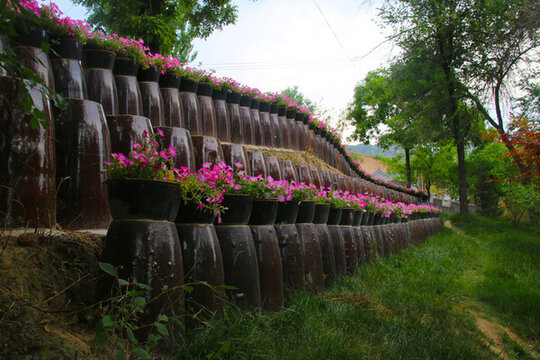 農(nóng)村盆栽野花綠樹(shù)草地綠色背景